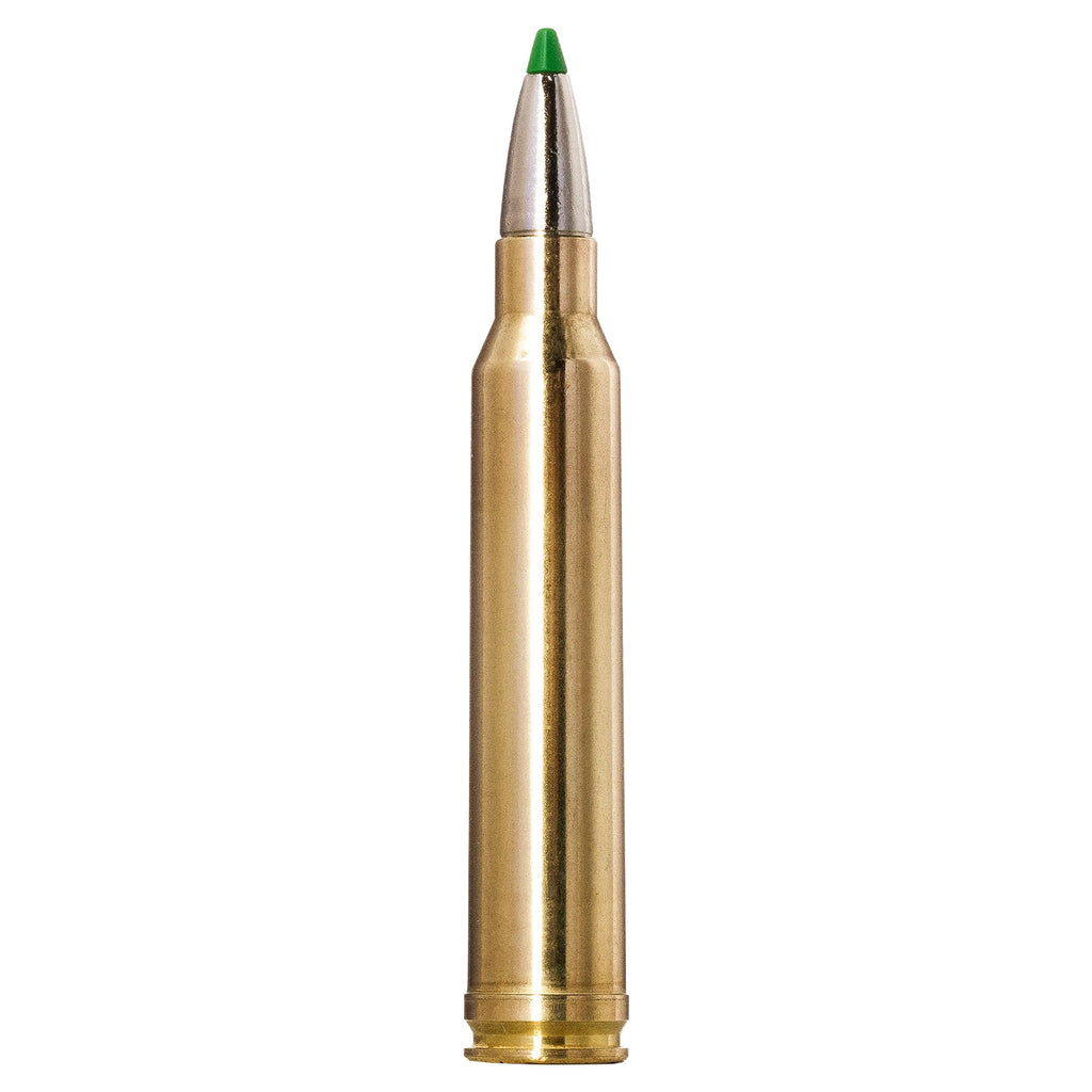 300 Win Mag 165gr Ecostrike