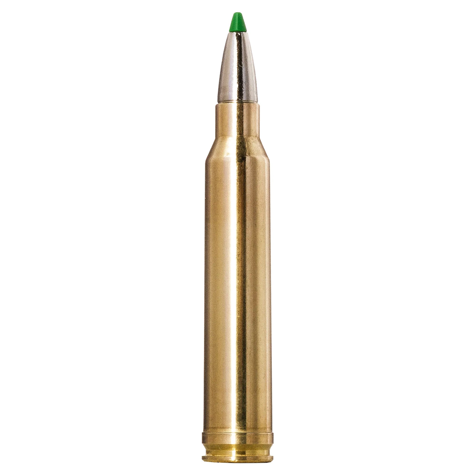 300 Win Mag 165gr Ecostrike