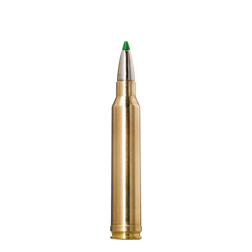 300 Win Mag 165gr Ecostrike