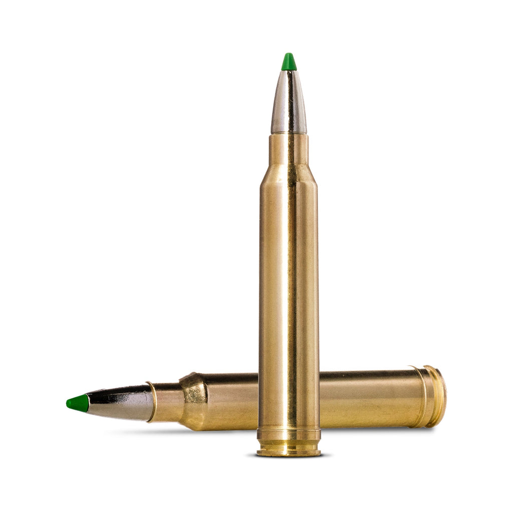 300 Win Mag 165gr Ecostrike