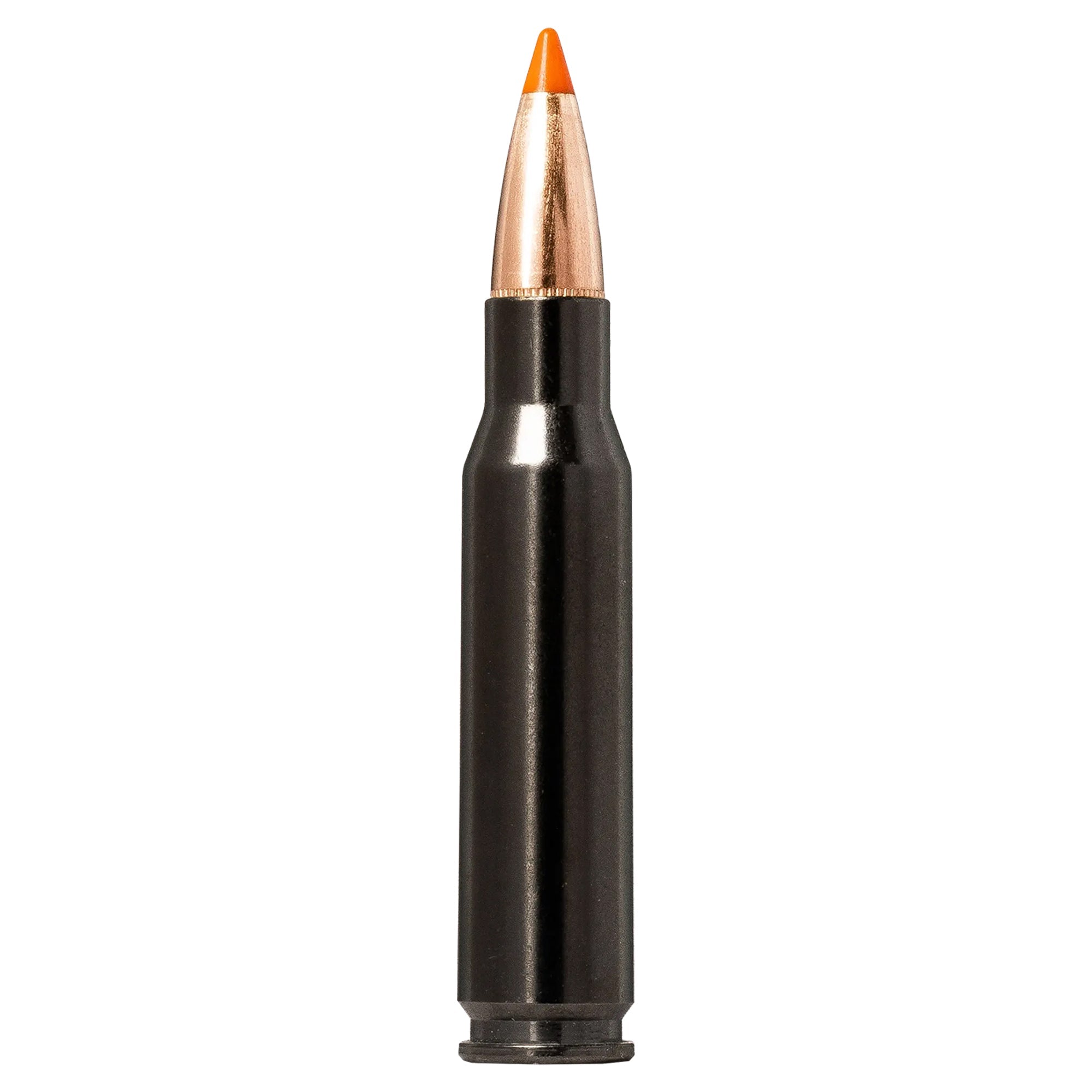308 Win 170gr Tipstrike Silencer