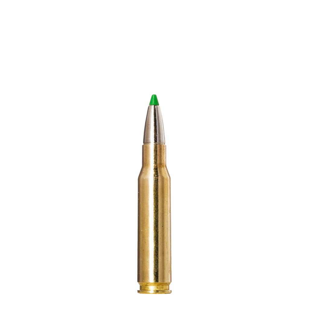 308 Win 150gr Ecostrike