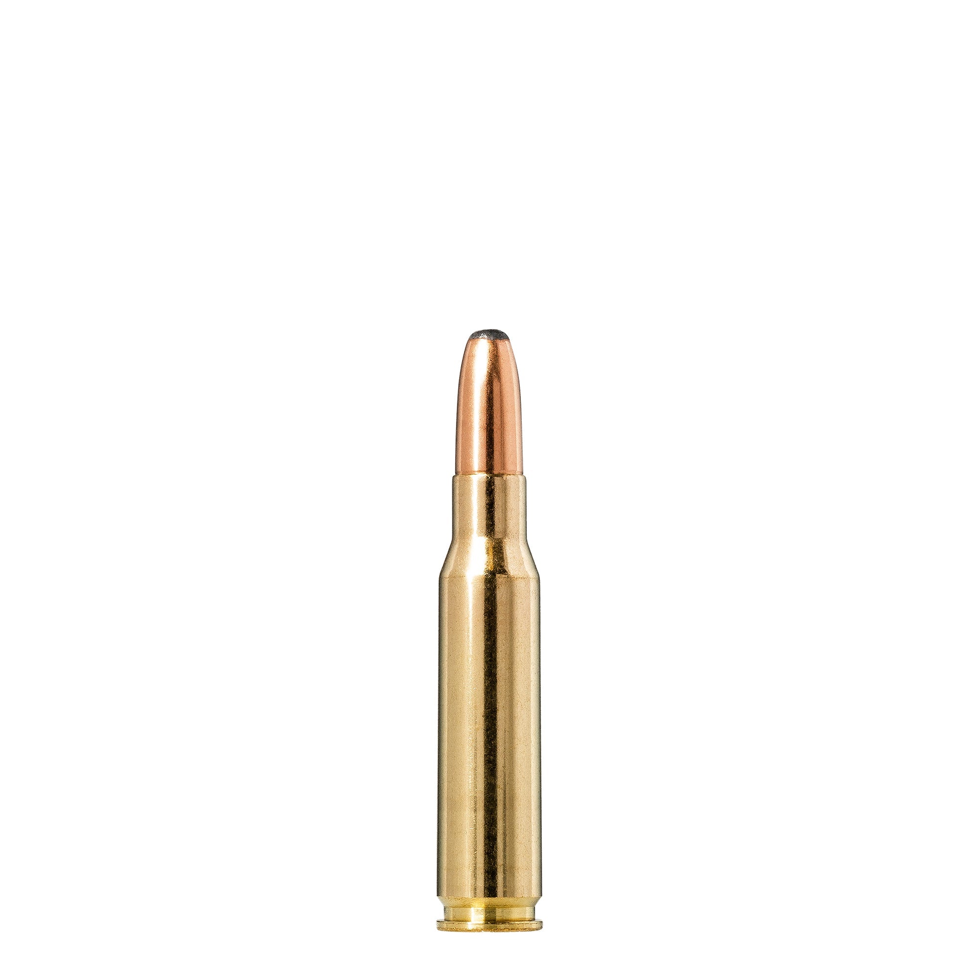 308 Win 180gr Whitetail SP