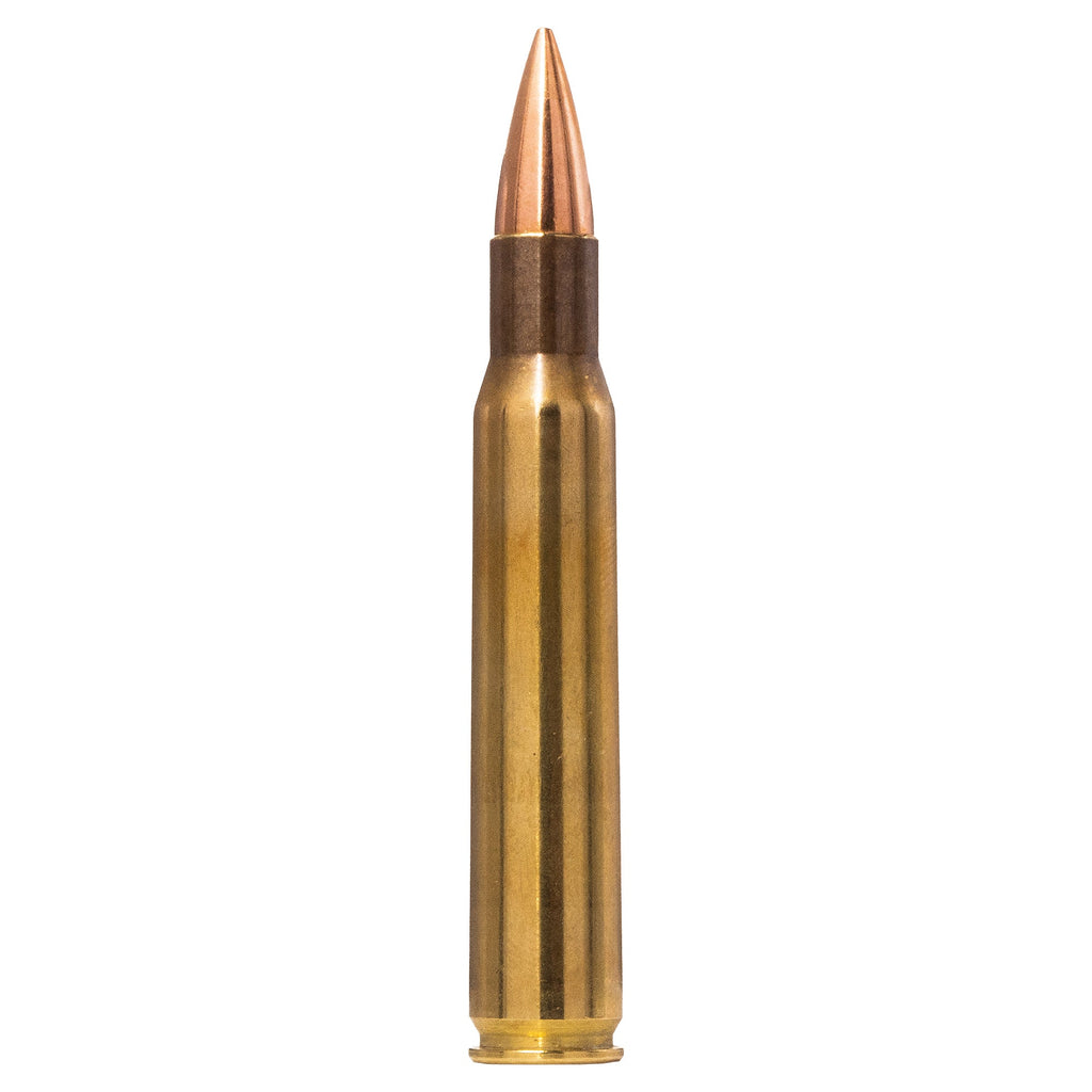 30-06 SPRG 150gr Range And Training FMJ