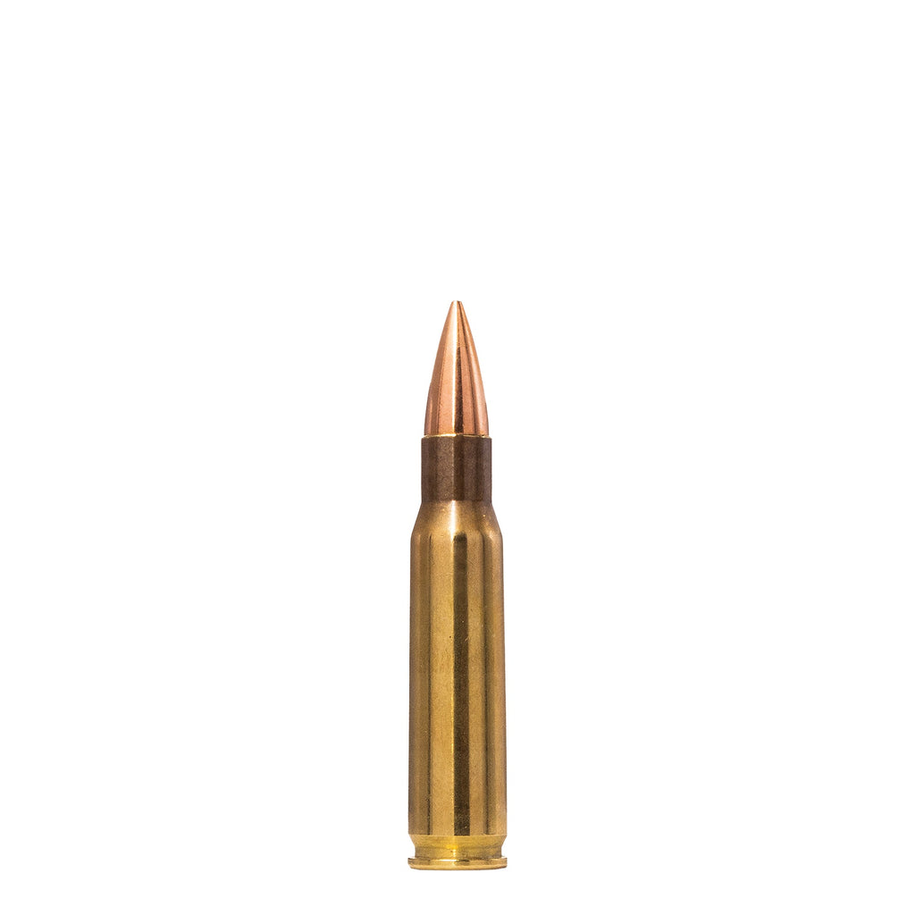 308 Win 150gr Range And Training FMJ