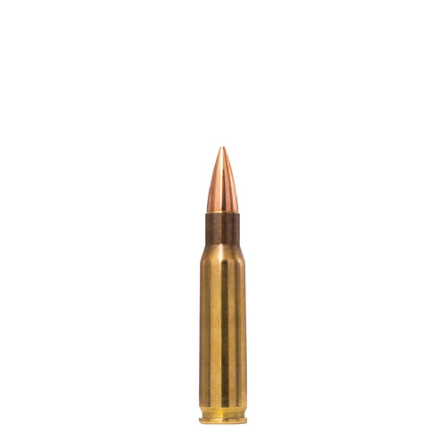 308 Win 150gr Range And Training FMJ