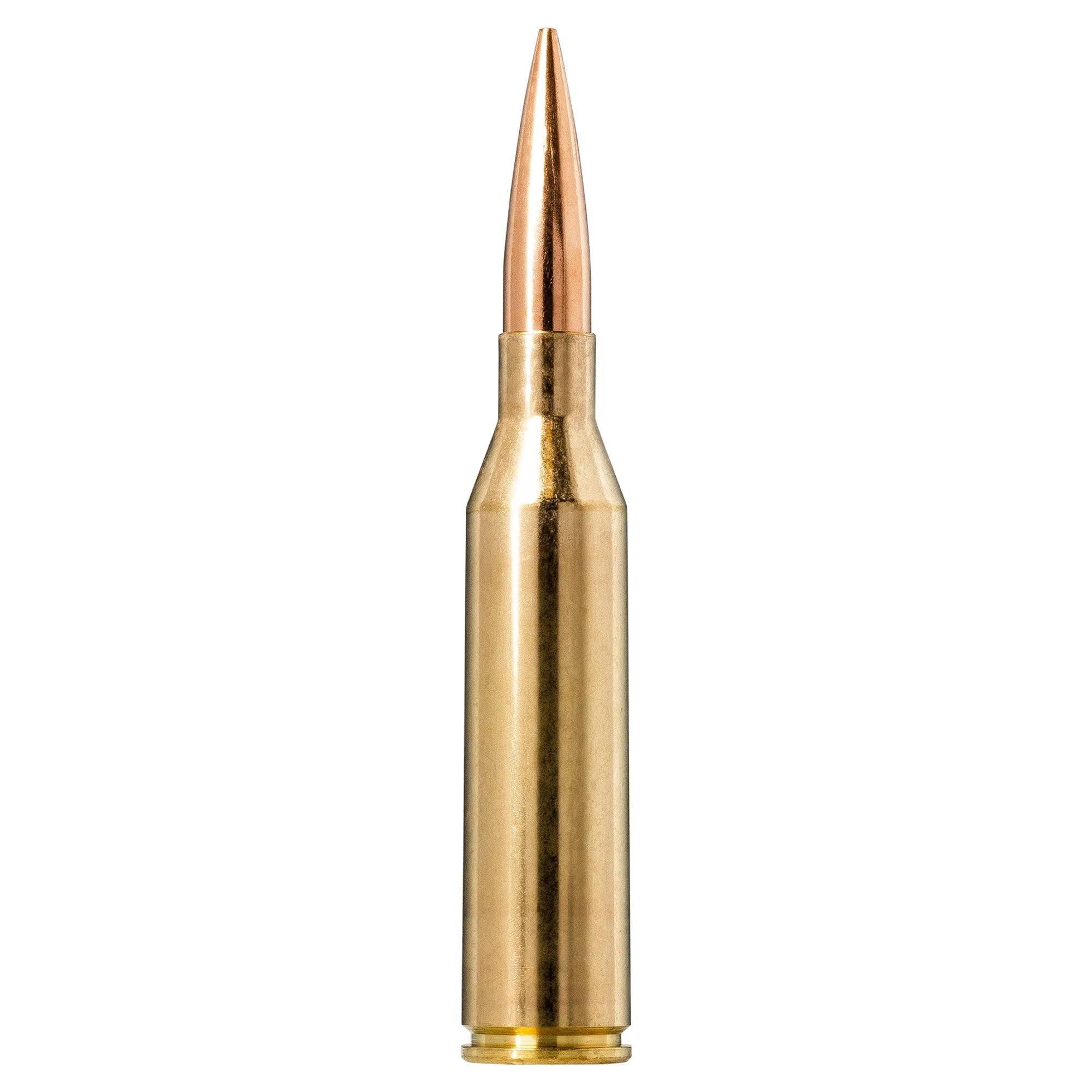 300 Norma Mag 220gr Golden Target