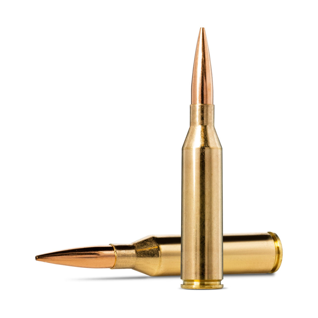 300 Norma Mag 220gr Golden Target