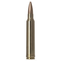 300 Win Mag 220gr Golden Target