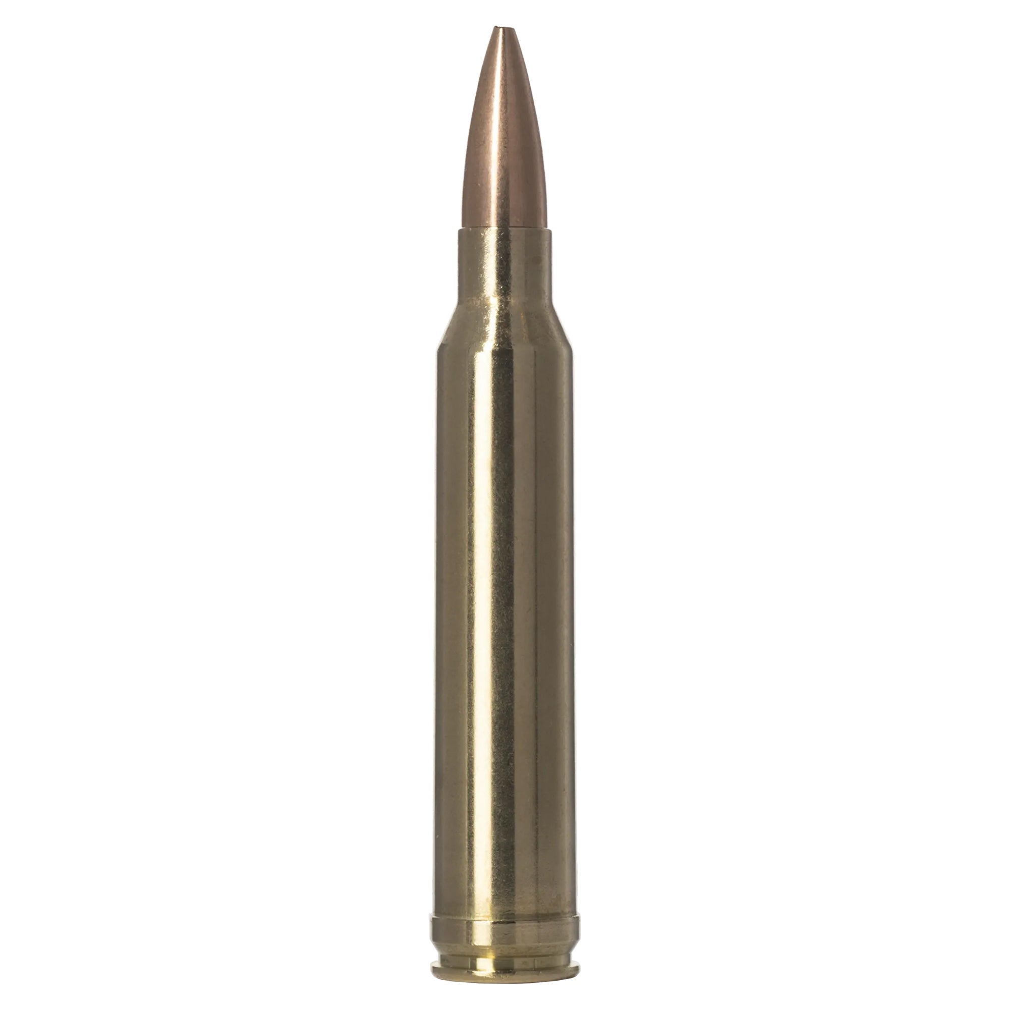 300 Win Mag 220gr Golden Target