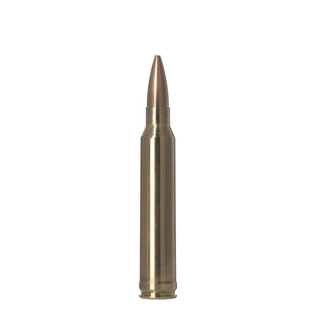300 Win Mag 220gr Golden Target