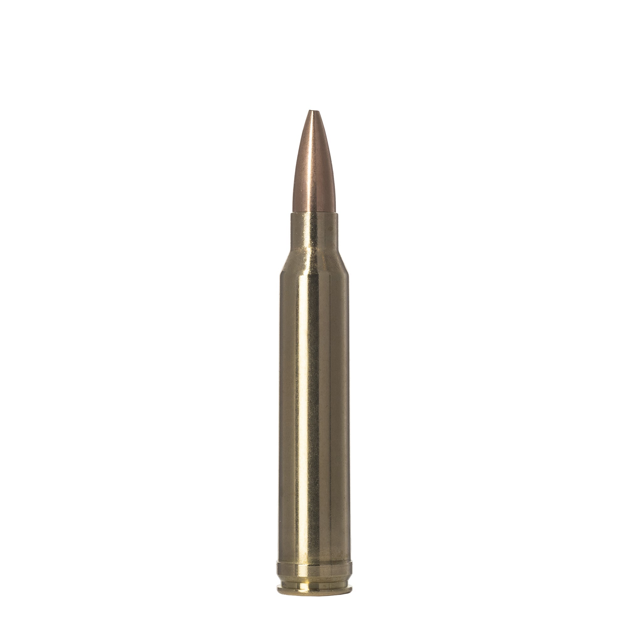 300 Win Mag 220gr Golden Target