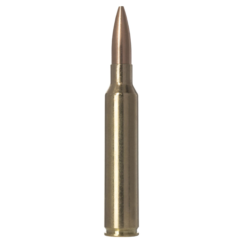 300 Prc 220gr Golden Target