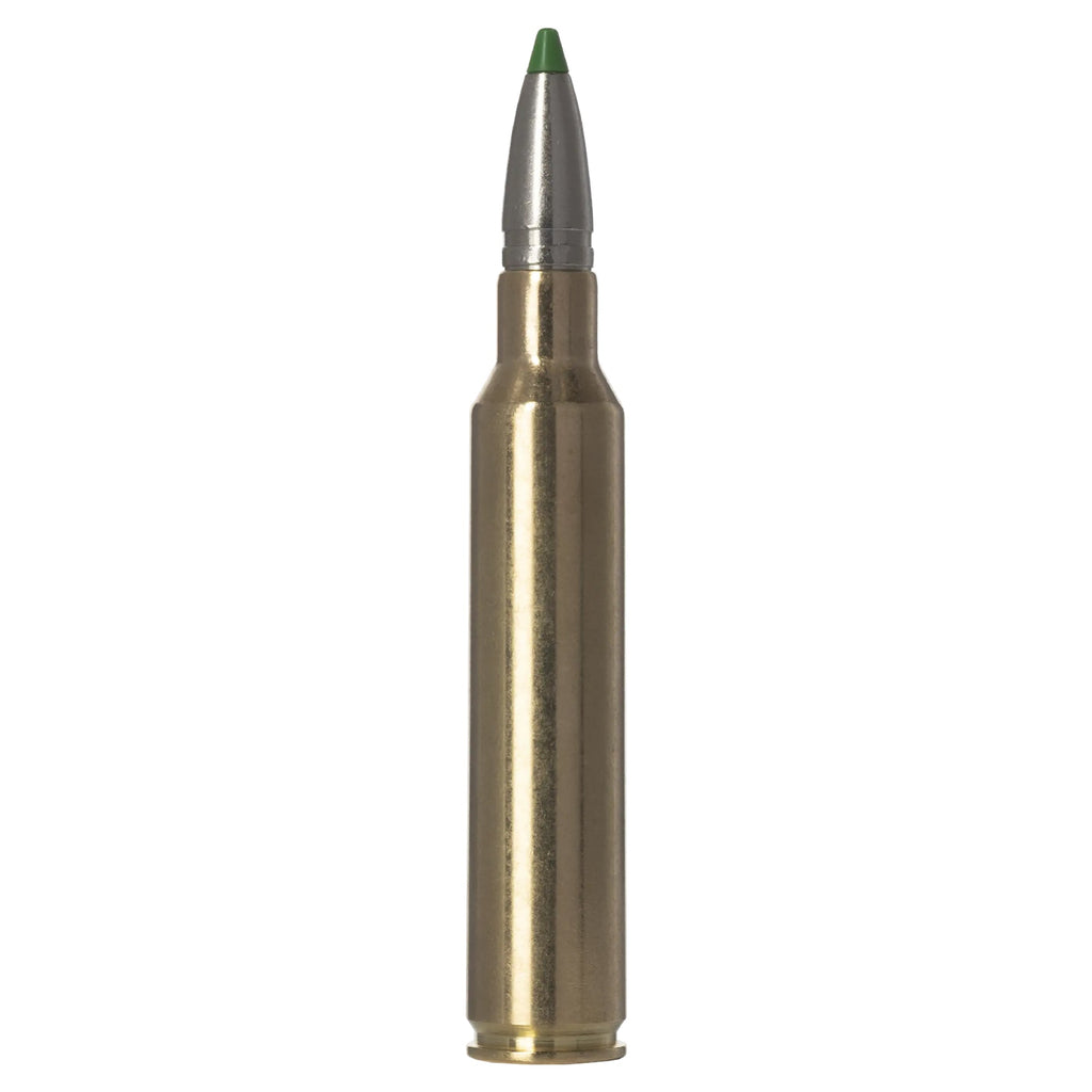 300 Prc 165gr Ecostrike