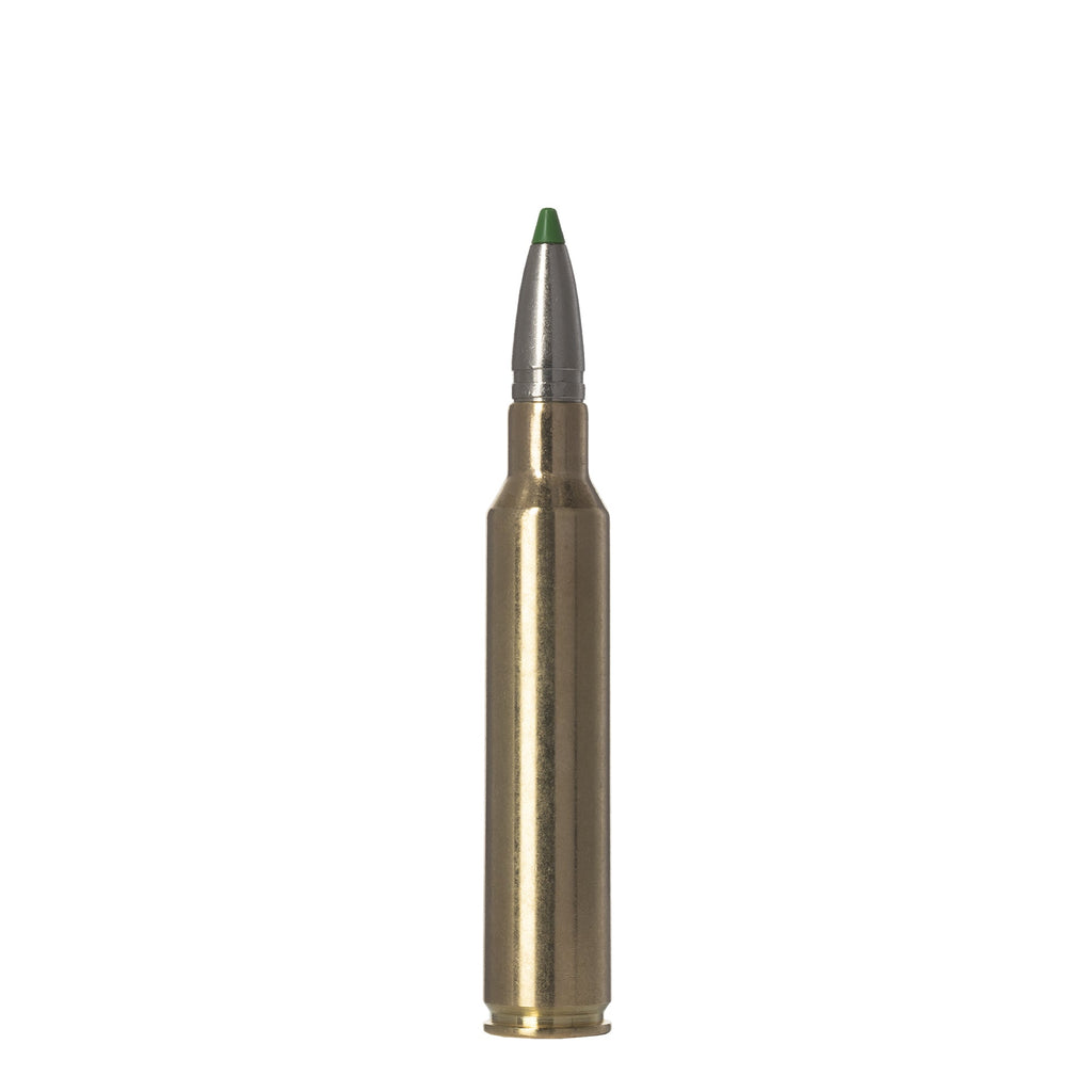 300 Prc 165gr Ecostrike