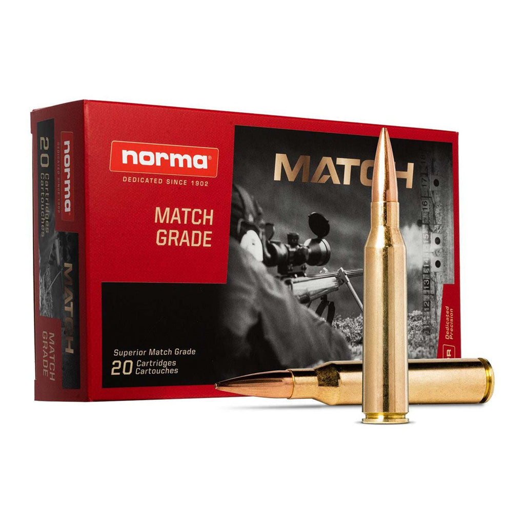 338 Mag 300gr Sierra HPBT