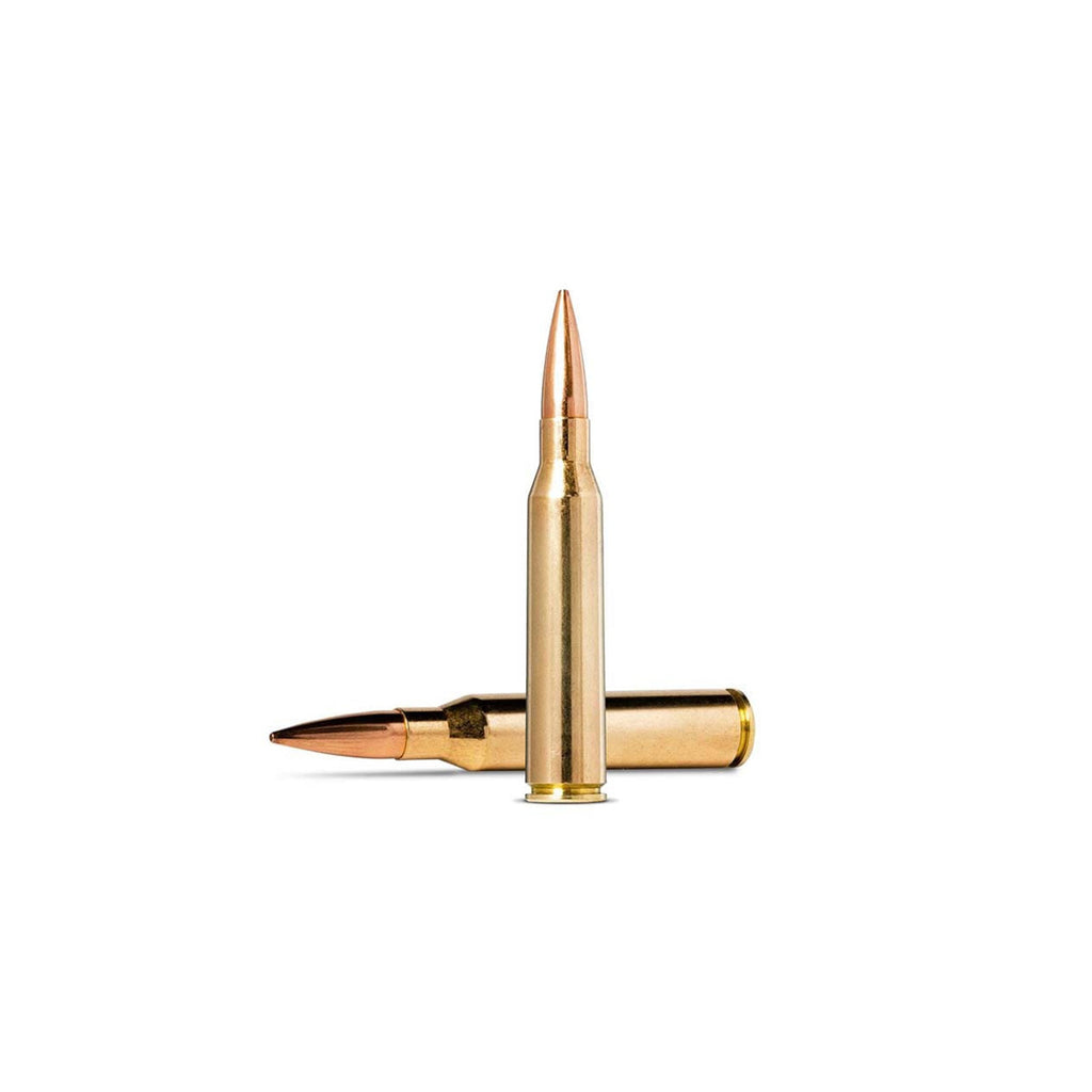 338 Mag 300gr Sierra HPBT