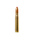 9.3X62 285gr Plastic Point