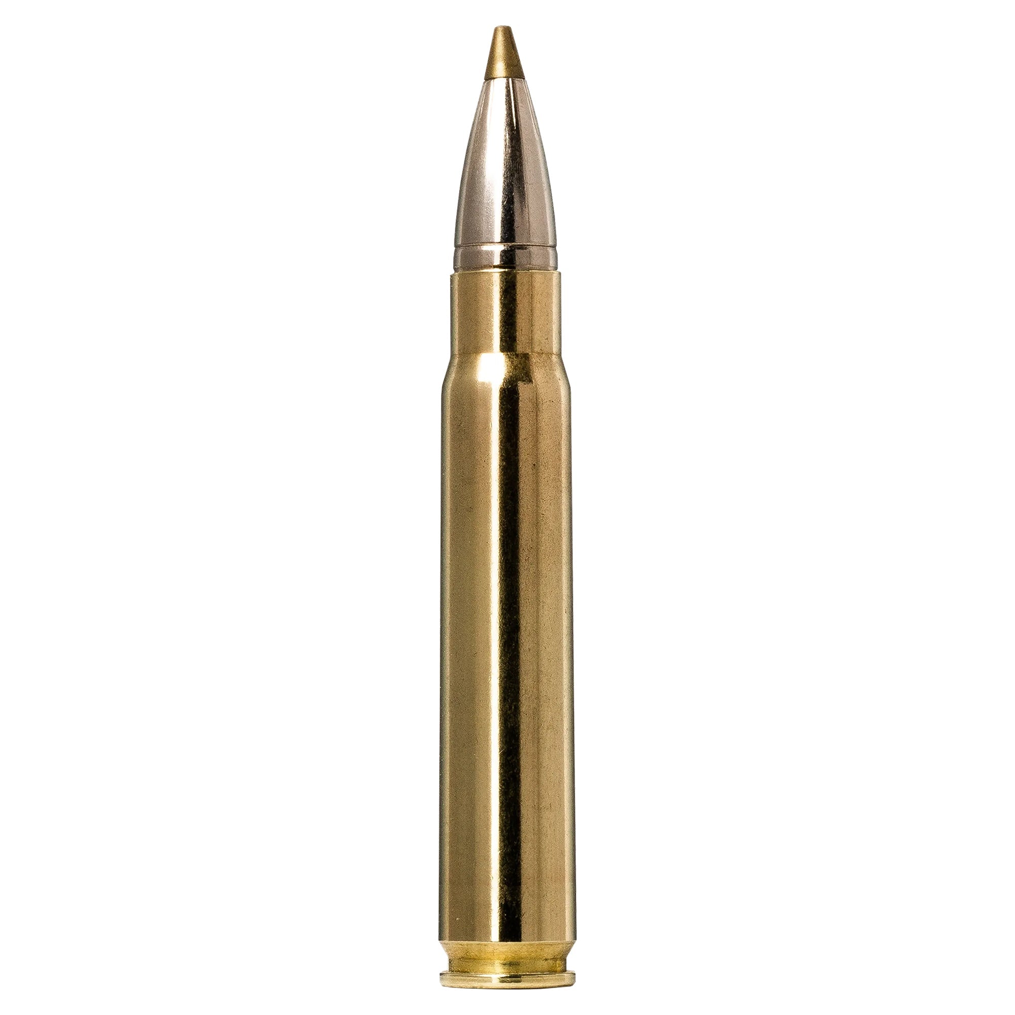 9.3X62 184gr Evostrike