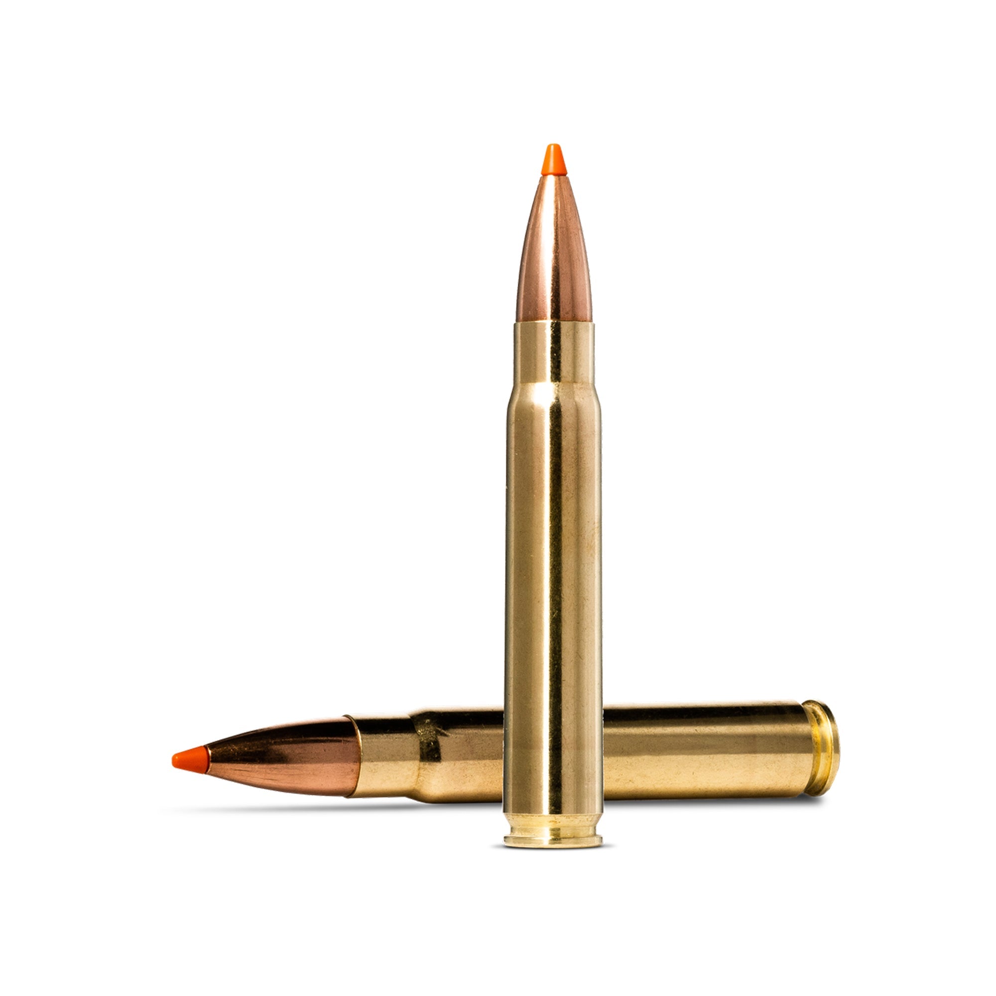 9.3X62 255gr Tipstrike