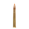 9.3X74R 255gr Tipstrike