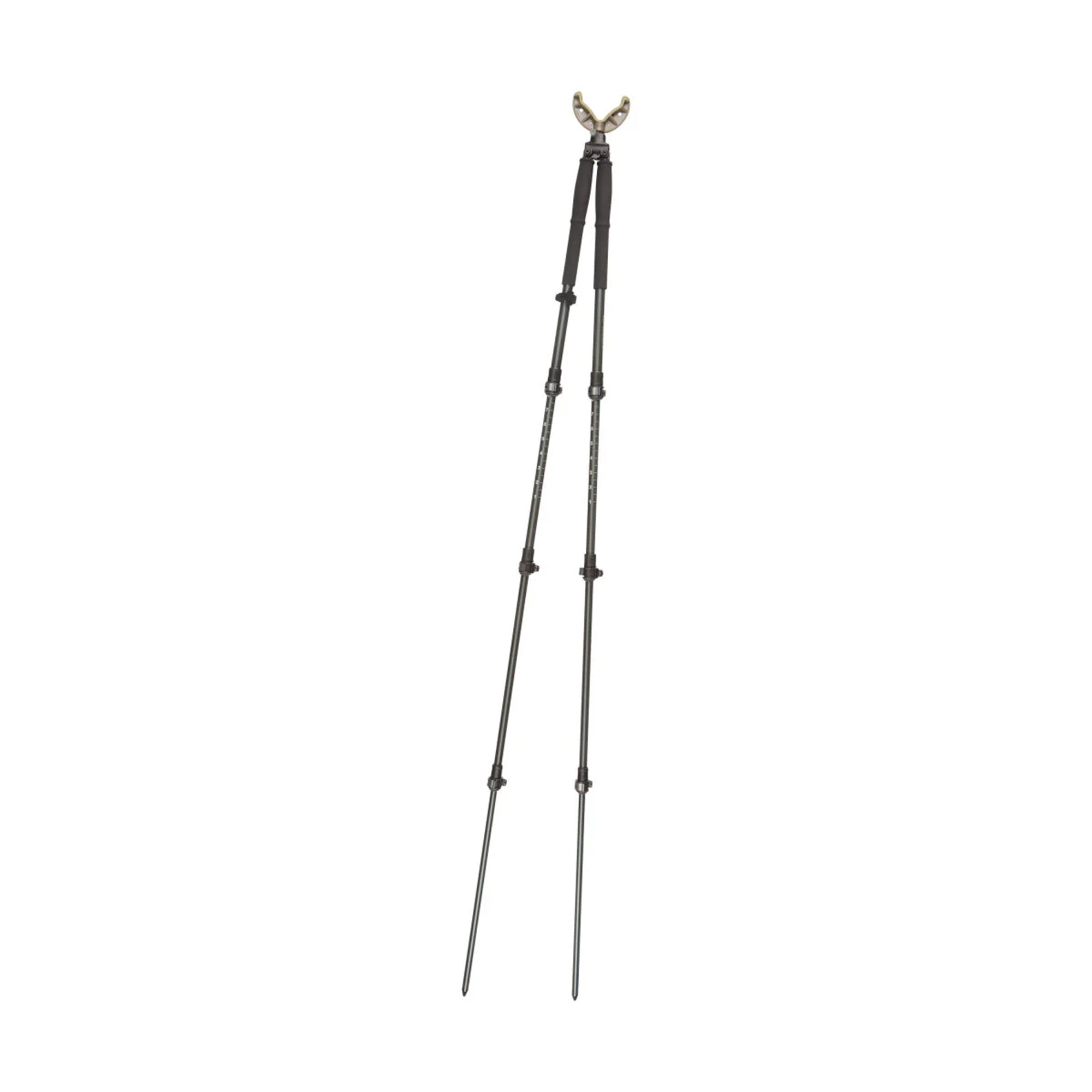21411 image 1