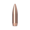 22 Cal (.224) 69gr HPBT Match