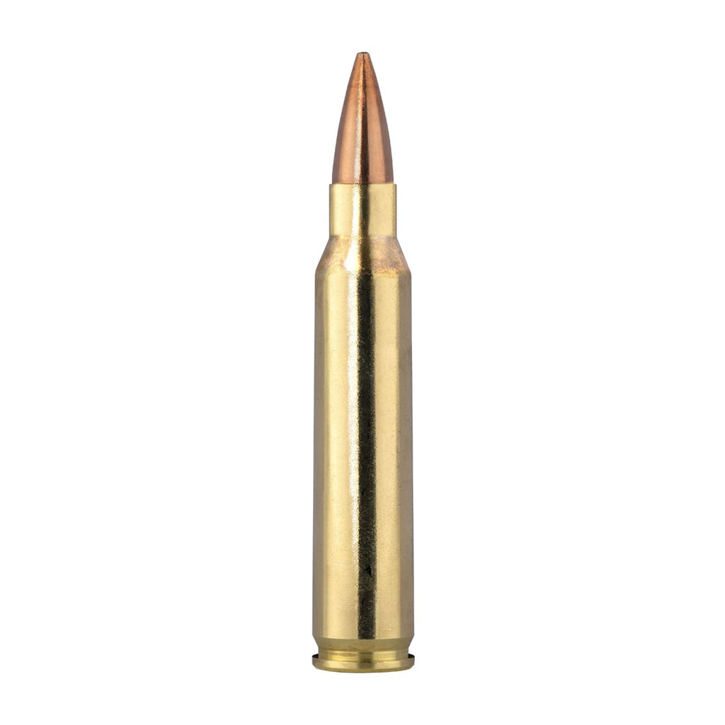 223 Rem 77gr Golden Target