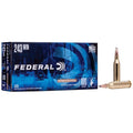 243 Win 100gr SP Power-Shok