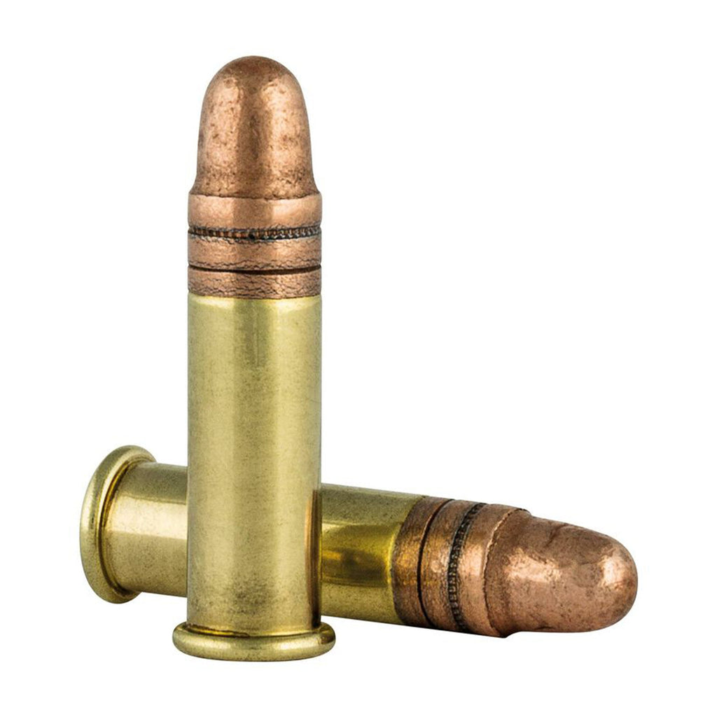 22LR Mini Mag 40gr CPRN HV