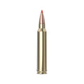 300 Win Mag 180gr Sst SPF