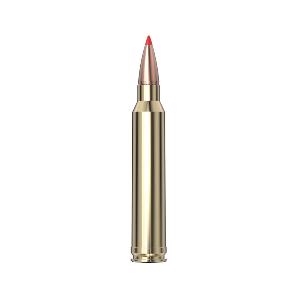 300 Win Mag 180gr Sst SPF