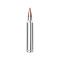 300 Win Mag 180gr CX Otf