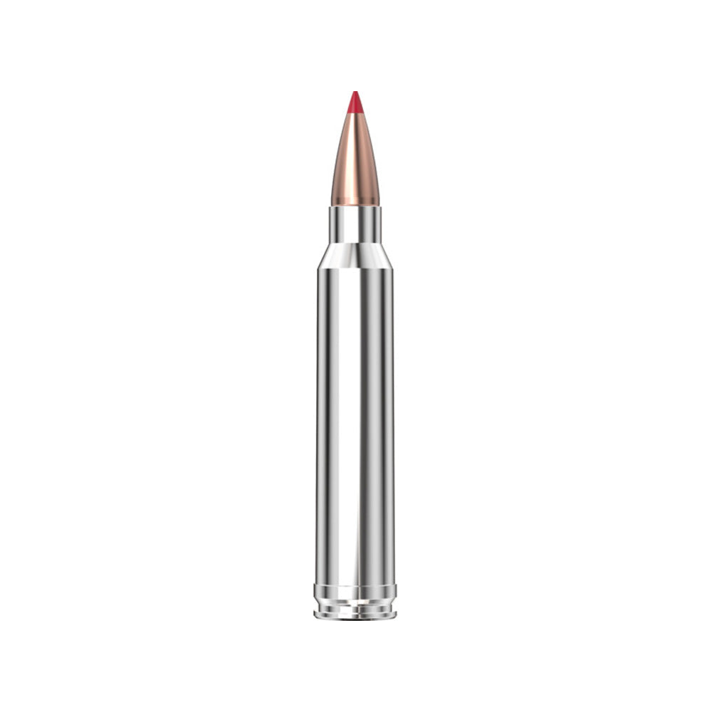 300 Win Mag 180gr CX Otf