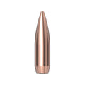 30 Cal (.308) 168gr HPBT Match