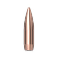 30 Cal (.308) 175gr HPBT Match