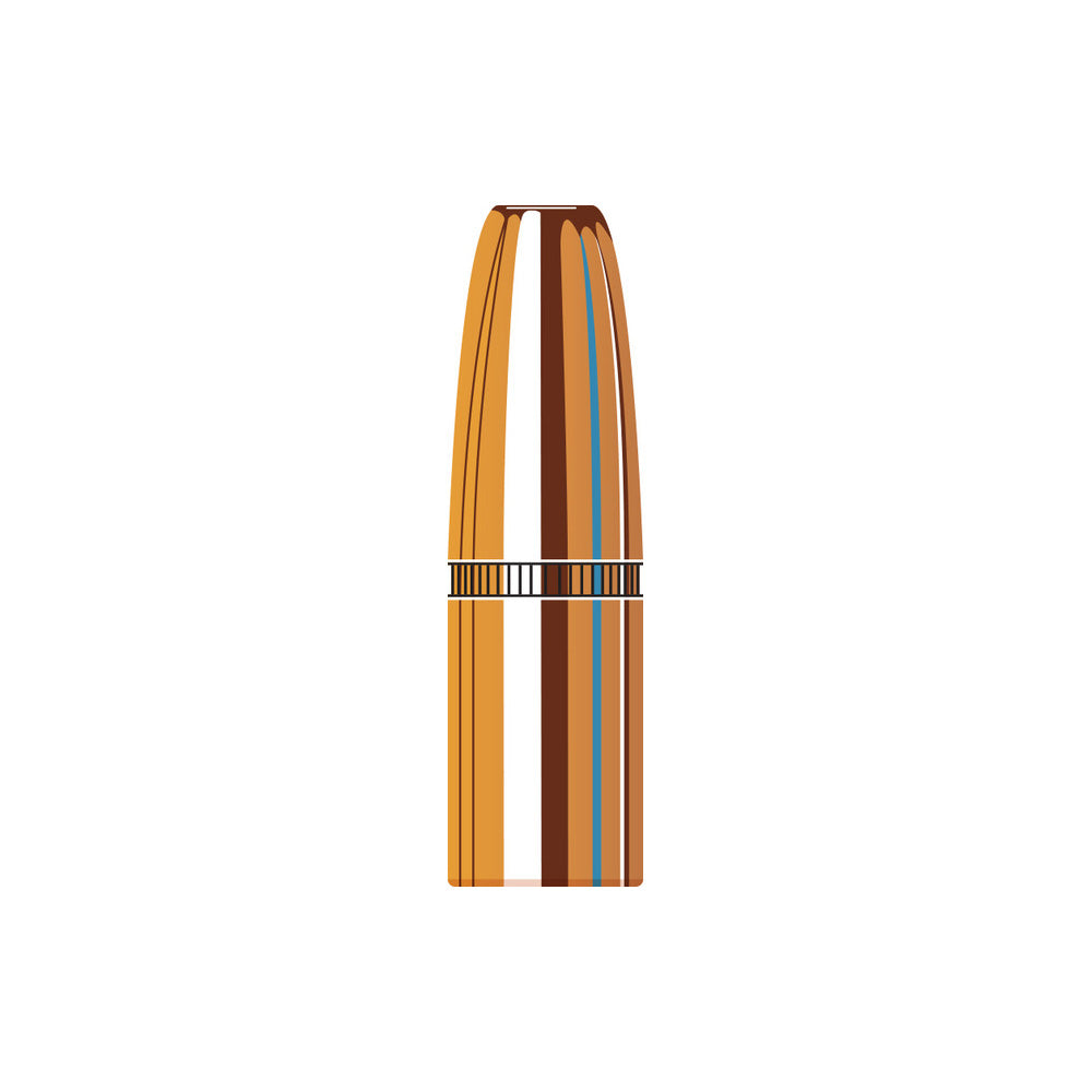 375 Cal (.375 Diameter) Dgs 300gr Projectiles