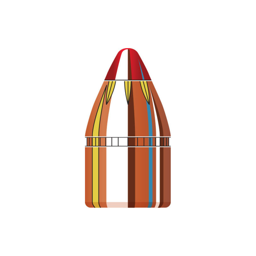 45 Cal (.452 Diameter) FTX 200gr Projectiles