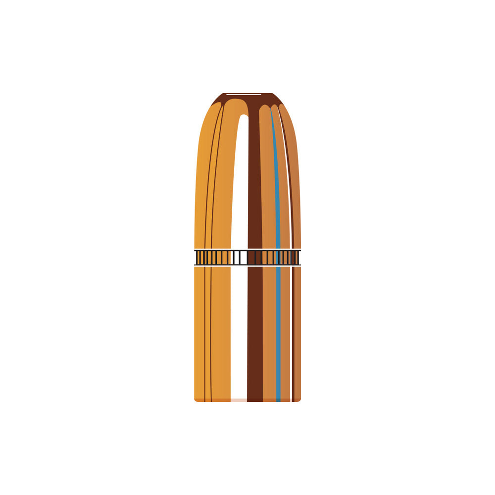 45 Cal (.458 Diameter) Dgs 480gr Projectiles
