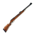 Diana 460 Magnum Air Rifle