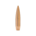 6mm HPBT 107gr Projectiles