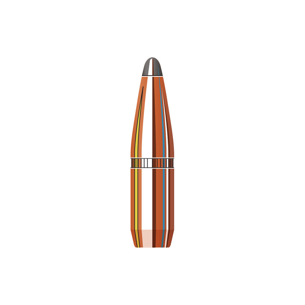 6mm (.243 Diameter) BtSP 100gr Projectiles