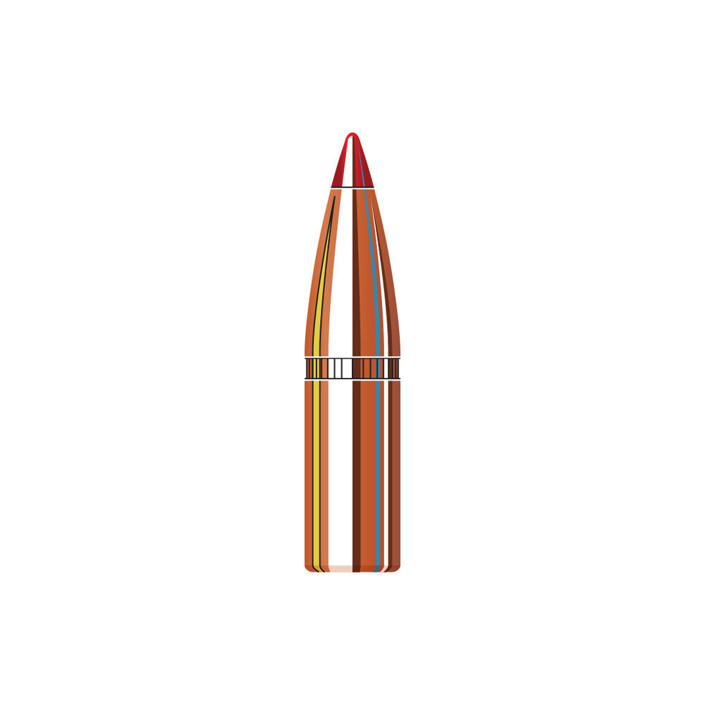 6mm (.243 Diameter) Sst 95gr Projectiles
