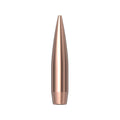6mm (.243) 105grr Hhb Match