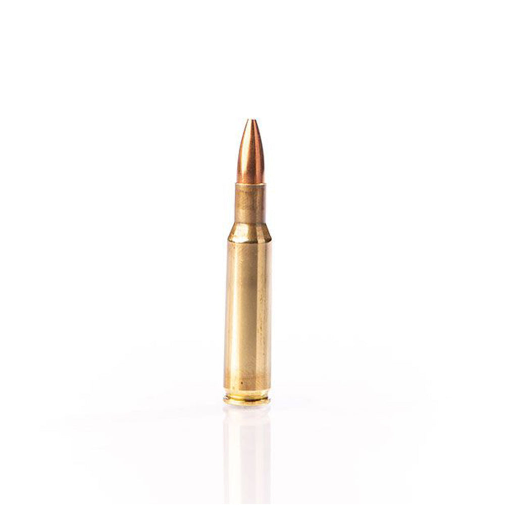222 Remington 50gr HP