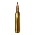 243 Win 95gr Sstpolymer Tip