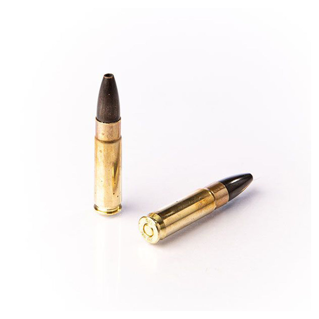 300AAC Blk Zp 110gr Lead Free