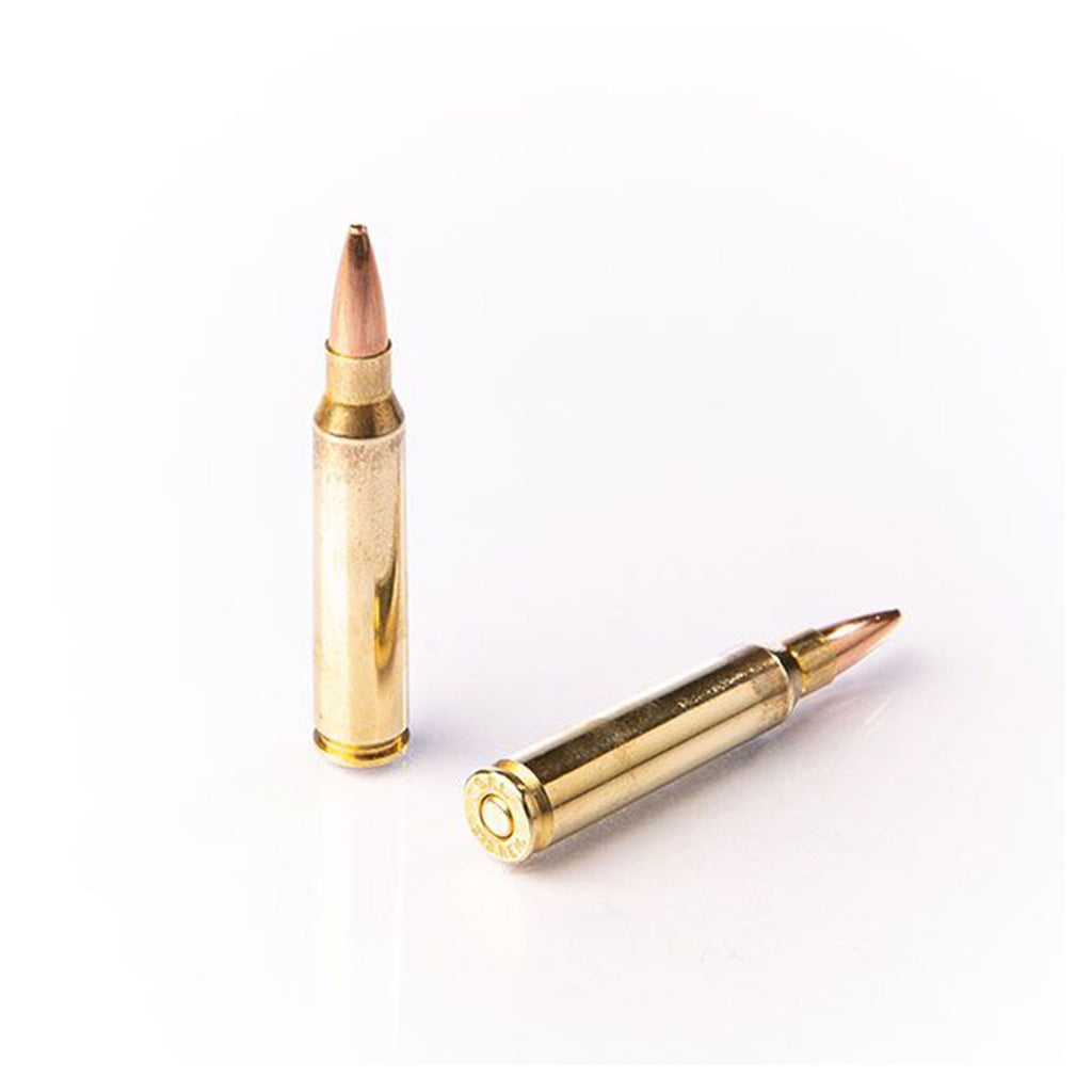 223 Rem 50gr HP