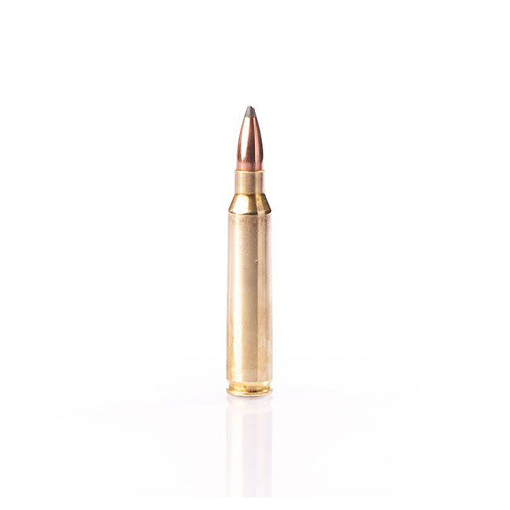 223 Rem 55gr SP Soft Point