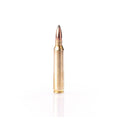 223 Rem 55gr SP Soft Point